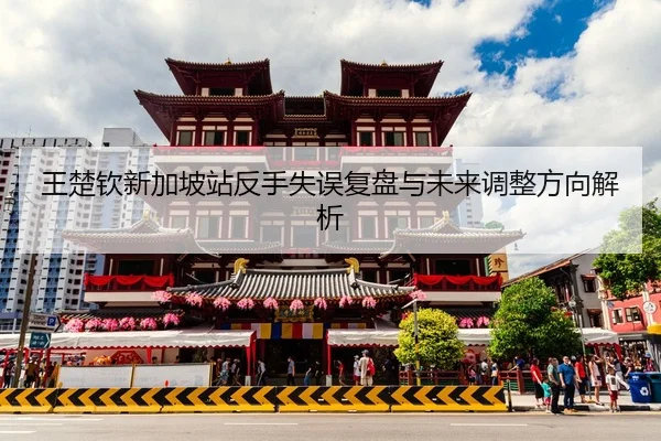 王楚钦新加坡站反手失误复盘与未来调整方向解析